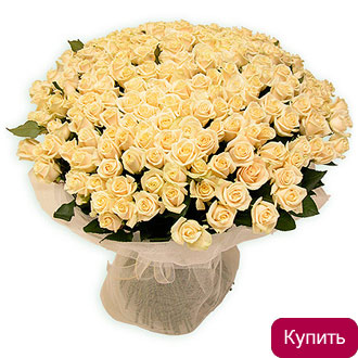 Букет из 201 светлой розы