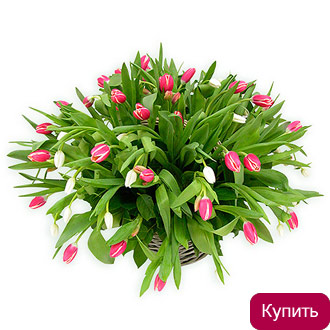 Корзина тюльпанов «Амели» Корзина тюльпанов