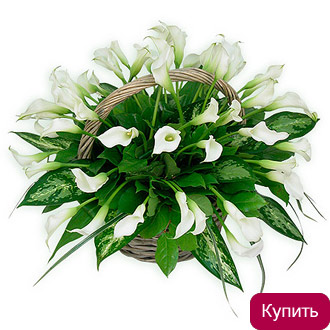 Корзина Белое озеро