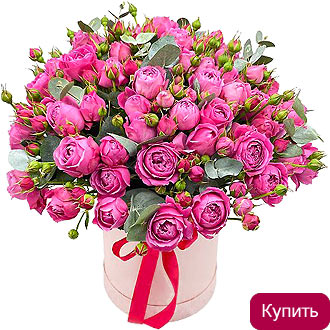 цветы в коробке в Вологде