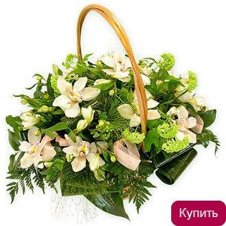 Корзина из орхидеи