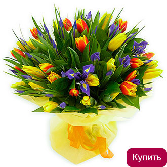 Ирисы и тюльпаны в букете