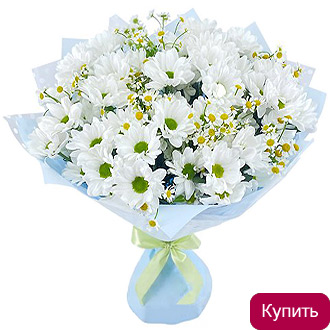 Букет хризантемы ромашки