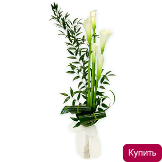 Белые каллы в букете