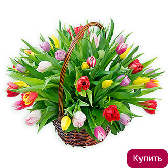 Корзина тюльпанов «Весенняя палитра» Корзина разноцветных тюльпанов